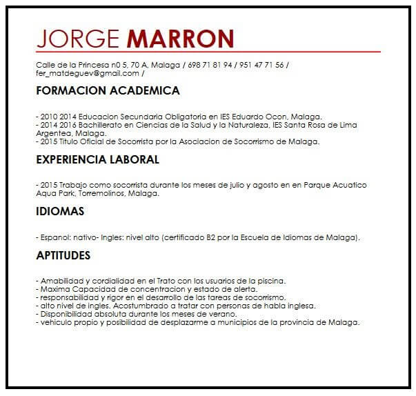 Ejemplos De Cv Para Puestos De Voluntario Micvideal