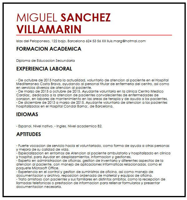 Modelo De Cv Con Declaracion Personal Micvideal Es Kulturaupice