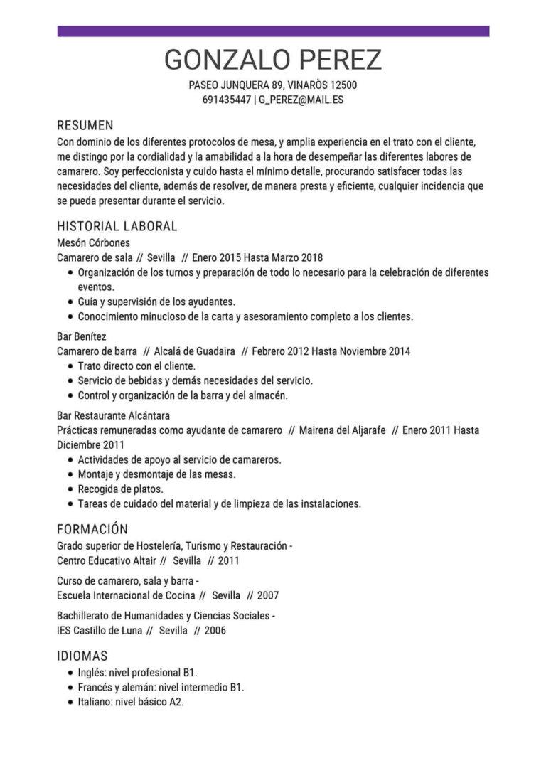 ejemplo de curriculum vitae para camarero