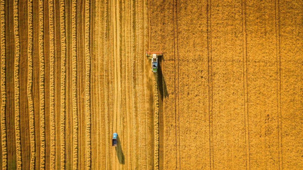 agriculture_farming