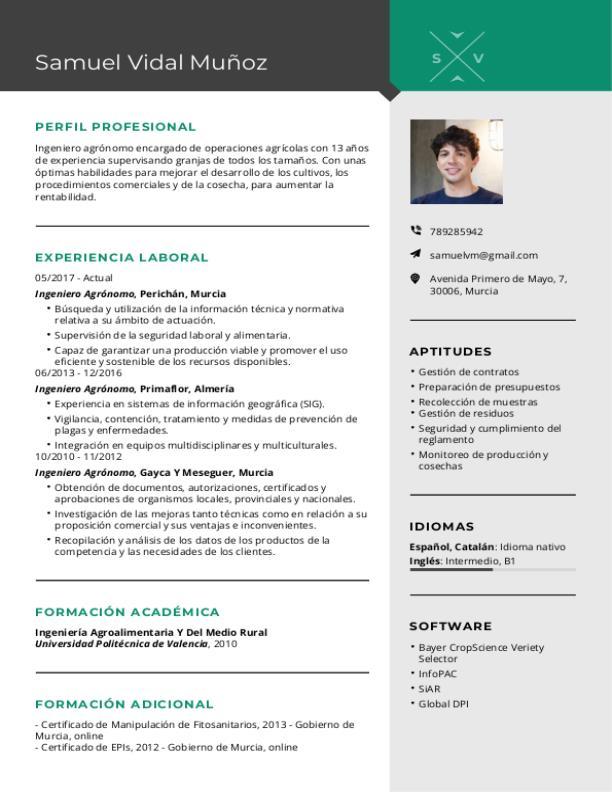 Currículum de técnico informático con ejemplos | Mi CV Ideal